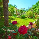 Apartman 959